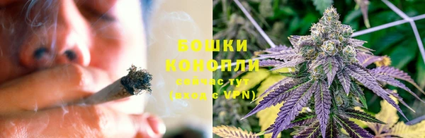 трава Надым
