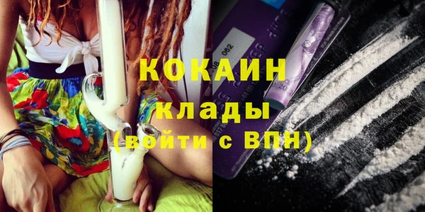 трава Надым