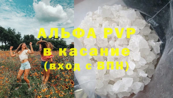 трава Надым