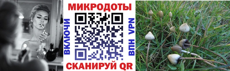 Галлюциногенные грибы Magic Shrooms  купить   Тайга 