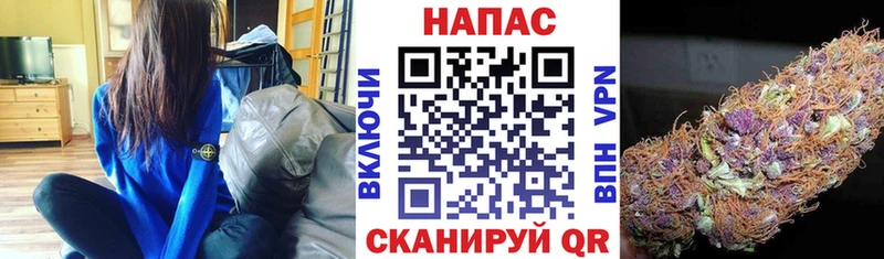 это клад  цена наркотик  Тайга  Шишки марихуана Amnesia 